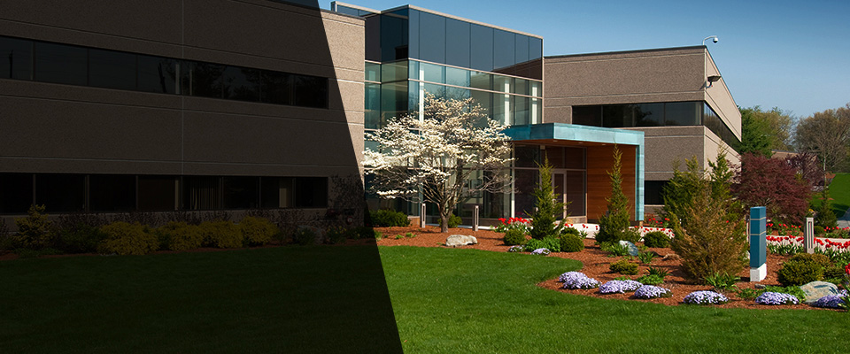 Chestertown Landscapers