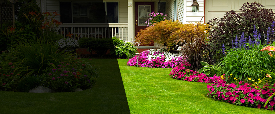 Chestertown Landscapers