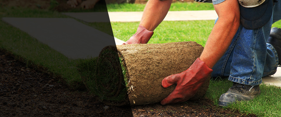 Chestertown Landscapers